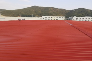 河南榴莲视频APP在线观看3500平榴莲视频视频黄片翻新项目