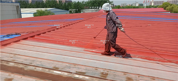 榴莲视频APP在线观看翻新专用漆