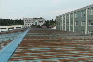 榴莲视频APP在线观看屋面漏水原因及防水方法