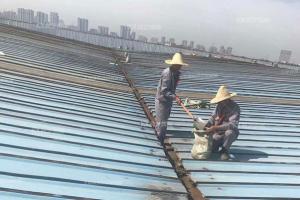 榴莲视频APP在线观看生锈了怎么办，翻新需要打磨吗？