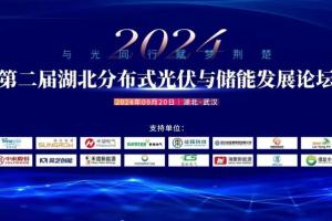 榴莲视频APP下载应邀参加第二届湖北分布式光伏与储能发展论坛